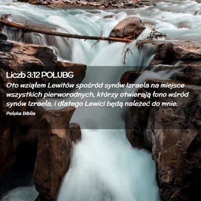 Picture 02 - Liczb 3:12 POLUBG - Oto wziąłem Lewitów spośród synów Izraela - Bible Verse Picture