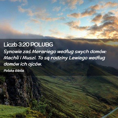 Picture 02 - Liczb 3:20 POLUBG - Synowie zaś Merariego według swych domów: - Bible Verse Picture