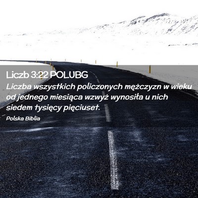 Picture 02 - Liczb 3:22 POLUBG - Liczba wszystkich policzonych mężczyzn w wieku - Bible Verse Picture