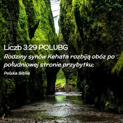 Picture 02 - Liczb 3:29 POLUBG - Rodziny synów Kehata rozbiją obóz po - Bible Verse Picture