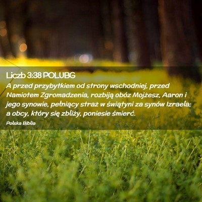 Picture 02 - Liczb 3:38 POLUBG - A przed przybytkiem od strony wschodniej, przed - Bible Verse Picture