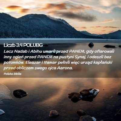 Picture 02 - Liczb 3:4 POLUBG - Lecz Nadab i Abihu umarli przed PANEM, gdy - Bible Verse Picture