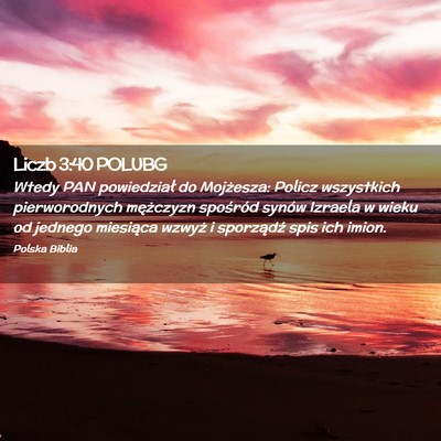 Picture 02 - Liczb 3:40 POLUBG - Wtedy PAN powiedział do Mojżesza: Policz - Bible Verse Picture