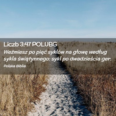 Picture 02 - Liczb 3:47 POLUBG - Weźmiesz po pięć syklów na głowę według - Bible Verse Picture