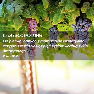 Picture 02 - Liczb 3:50 POLUBG - Od pierworodnych synów Izraela wziął tysiąc - Bible Verse Picture