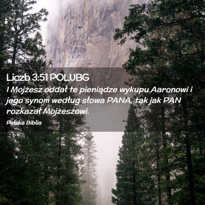Picture 02 - Liczb 3:51 POLUBG - I Mojżesz oddał te pieniądze wykupu Aaronowi i - Bible Verse Picture