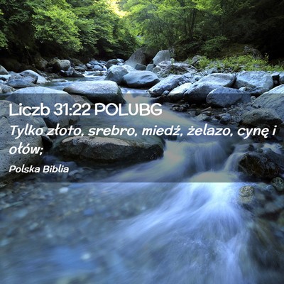 Picture 02 - Liczb 31:22 POLUBG - Tylko złoto, srebro, miedź, żelazo, cynę i - Bible Verse Picture