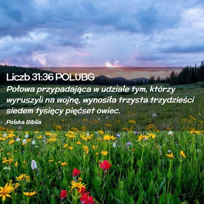 Picture 02 - Liczb 31:36 POLUBG - Połowa przypadająca w udziale tym, którzy - Bible Verse Picture