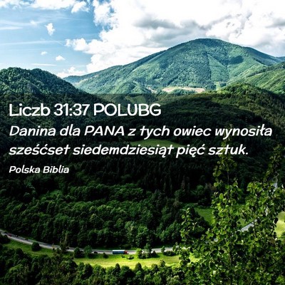 Picture 02 - Liczb 31:37 POLUBG - Danina dla PANA z tych owiec wynosiła sześćset - Bible Verse Picture
