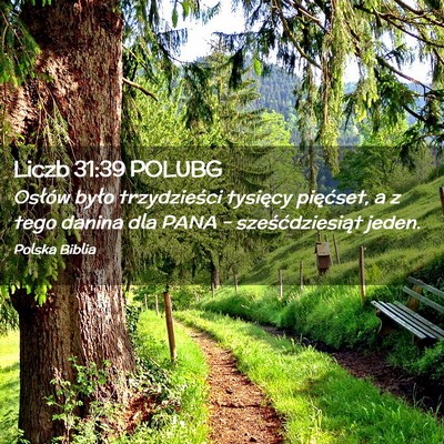 Picture 02 - Liczb 31:39 POLUBG - Osłów było trzydzieści tysięcy pięćset, a - Bible Verse Picture