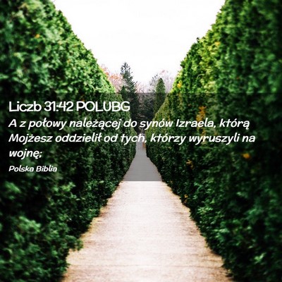Picture 02 - Liczb 31:42 POLUBG - A z połowy należącej do synów Izraela, - Bible Verse Picture