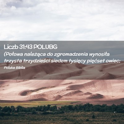Picture 02 - Liczb 31:43 POLUBG - (Połowa należąca do zgromadzenia wynosiła - Bible Verse Picture