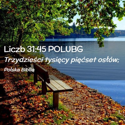 Picture 02 - Liczb 31:45 POLUBG - Trzydzieści tysięcy pięćset - Bible Verse Picture