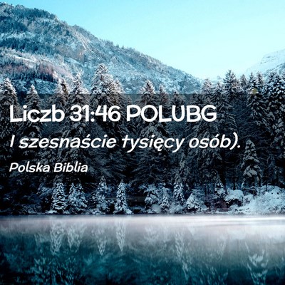 Picture 02 - Liczb 31:46 POLUBG - I szesnaście tysięcy - Bible Verse Picture