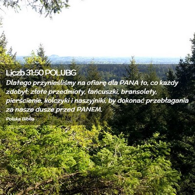 Picture 02 - Liczb 31:50 POLUBG - Dlatego przynieśliśmy na ofiarę dla PANA to, - Bible Verse Picture