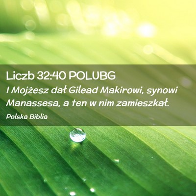 Picture 02 - Liczb 32:40 POLUBG - I Mojżesz dał Gilead Makirowi, synowi - Bible Verse Picture