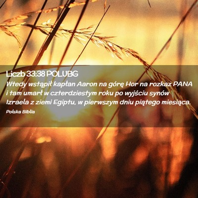Picture 02 - Liczb 33:38 POLUBG - Wtedy wstąpił kapłan Aaron na górę Hor na - Bible Verse Picture