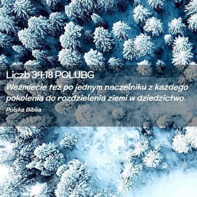 Picture 02 - Liczb 34:18 POLUBG - Weźmiecie też po jednym naczelniku z każdego - Bible Verse Picture