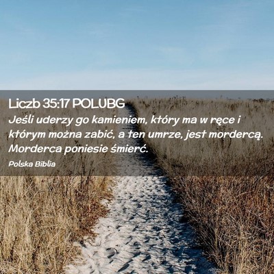Picture 02 - Liczb 35:17 POLUBG - Jeśli uderzy go kamieniem, który ma w ręce i - Bible Verse Picture