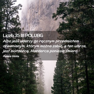 Picture 02 - Liczb 35:18 POLUBG - Albo jeśli uderzy go ręcznym przedmiotem - Bible Verse Picture