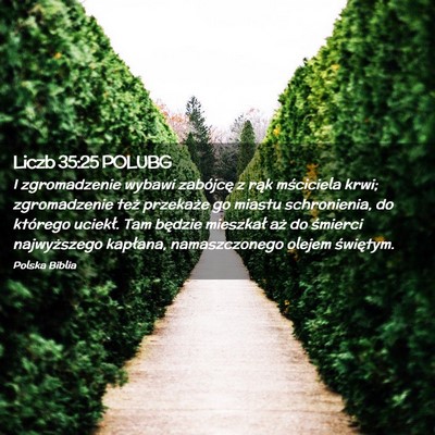Picture 02 - Liczb 35:25 POLUBG - I zgromadzenie wybawi zabójcę z rąk mściciela - Bible Verse Picture