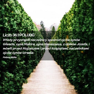 Picture 02 - Liczb 36:1 POLUBG - Wtedy przystąpili naczelnicy spośród ojców - Bible Verse Picture