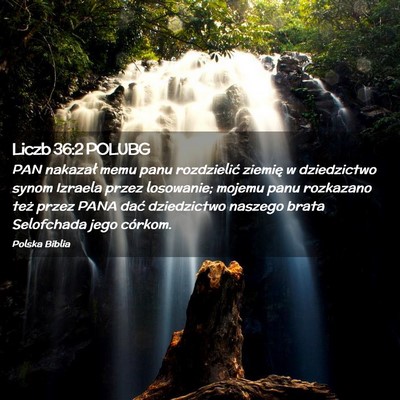 Picture 02 - Liczb 36:2 POLUBG - PAN nakazał memu panu rozdzielić ziemię w - Bible Verse Picture