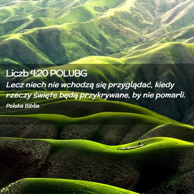 Picture 02 - Liczb 4:20 POLUBG - Lecz niech nie wchodzą się przyglądać, kiedy - Bible Verse Picture