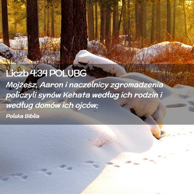 Picture 02 - Liczb 4:34 POLUBG - Mojżesz, Aaron i naczelnicy zgromadzenia - Bible Verse Picture