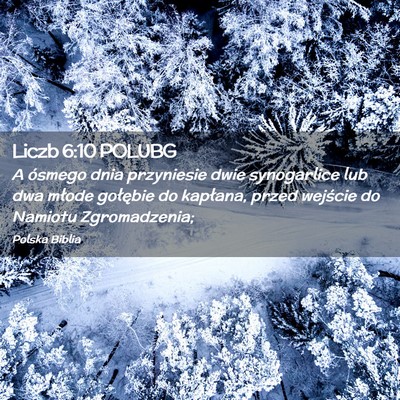 Picture 02 - Liczb 6:10 POLUBG - A ósmego dnia przyniesie dwie synogarlice lub - Bible Verse Picture