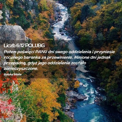 Picture 02 - Liczb 6:12 POLUBG - Potem poświęci PANU dni swego oddzielenia i - Bible Verse Picture