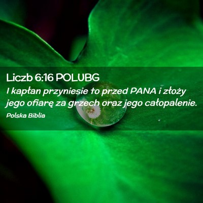 Picture 02 - Liczb 6:16 POLUBG - I kapłan przyniesie to przed PANA i złoży jego - Bible Verse Picture