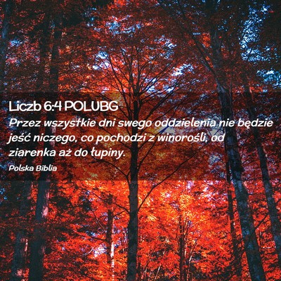 Picture 02 - Liczb 6:4 POLUBG - Przez wszystkie dni swego oddzielenia nie będzie - Bible Verse Picture