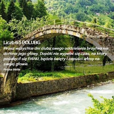 Picture 02 - Liczb 6:5 POLUBG - Przez wszystkie dni ślubu swego oddzielenia - Bible Verse Picture