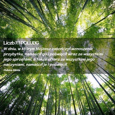 Picture 02 - Liczb 7:1 POLUBG - W dniu, w którym Mojżesz zakończył wznoszenie - Bible Verse Picture