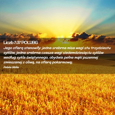 Picture 02 - Liczb 7:37 POLUBG - Jego ofiarę stanowiły: jedna srebrna misa wagi - Bible Verse Picture