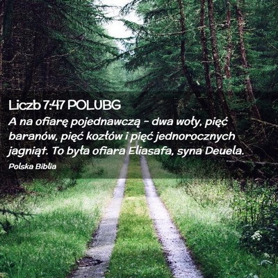 Picture 02 - Liczb 7:47 POLUBG - A na ofiarę pojednawczą – dwa woły, pięć - Bible Verse Picture