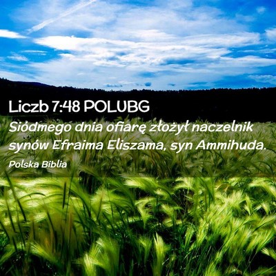 Picture 02 - Liczb 7:48 POLUBG - Siódmego dnia ofiarę złożył naczelnik synów - Bible Verse Picture