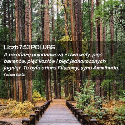 Picture 02 - Liczb 7:53 POLUBG - A na ofiarę pojednawczą – dwa woły, pięć - Bible Verse Picture