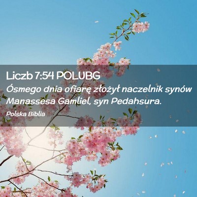 Picture 02 - Liczb 7:54 POLUBG - Ósmego dnia ofiarę złożył naczelnik synów - Bible Verse Picture
