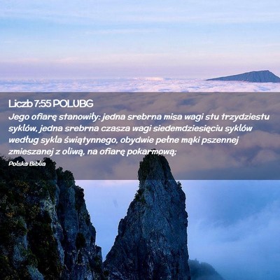 Picture 02 - Liczb 7:55 POLUBG - Jego ofiarę stanowiły: jedna srebrna misa wagi - Bible Verse Picture