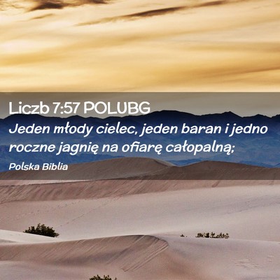 Picture 02 - Liczb 7:57 POLUBG - Jeden młody cielec, jeden baran i jedno roczne - Bible Verse Picture