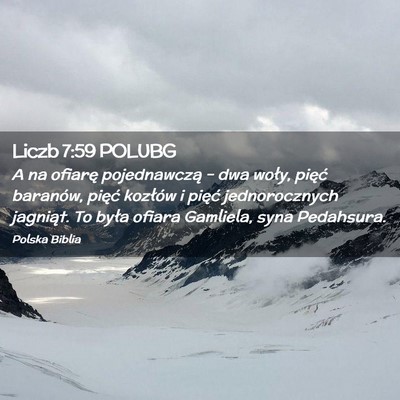Picture 02 - Liczb 7:59 POLUBG - A na ofiarę pojednawczą – dwa woły, pięć - Bible Verse Picture
