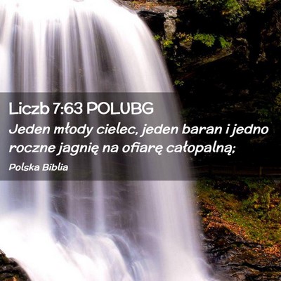 Picture 02 - Liczb 7:63 POLUBG - Jeden młody cielec, jeden baran i jedno roczne - Bible Verse Picture