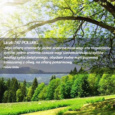 Picture 02 - Liczb 7:67 POLUBG - Jego ofiarę stanowiły: jedna srebrna misa wagi - Bible Verse Picture
