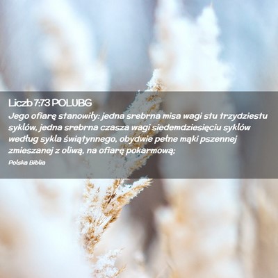 Picture 02 - Liczb 7:73 POLUBG - Jego ofiarę stanowiły: jedna srebrna misa wagi - Bible Verse Picture