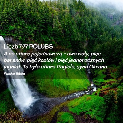 Picture 02 - Liczb 7:77 POLUBG - A na ofiarę pojednawczą – dwa woły, pięć - Bible Verse Picture