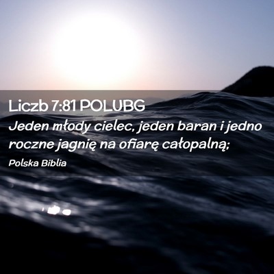 Picture 02 - Liczb 7:81 POLUBG - Jeden młody cielec, jeden baran i jedno roczne - Bible Verse Picture