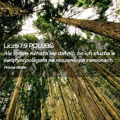 Picture 02 - Liczb 7:9 POLUBG - Ale synom Kehata nie dał nic, bo ich służba w - Bible Verse Picture
