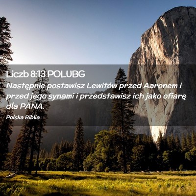 Picture 02 - Liczb 8:13 POLUBG - Następnie postawisz Lewitów przed Aaronem i - Bible Verse Picture